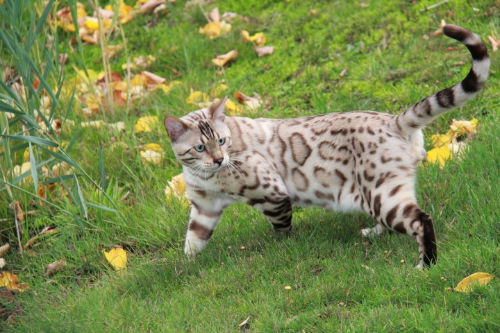 katers / 
