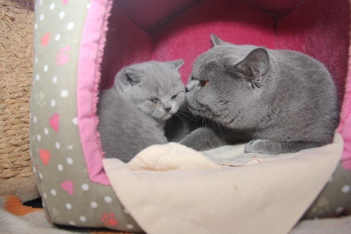 Foto's / 